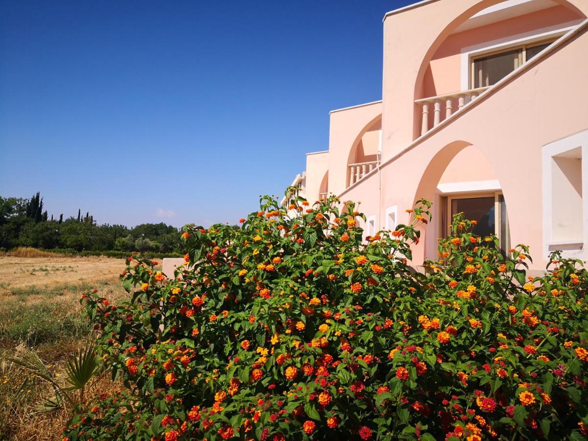 Seashell Apartments بافوس المظهر الخارجي الصورة
